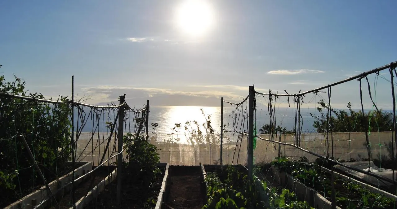 Finca Gaia La Segunda Guía de Isora España