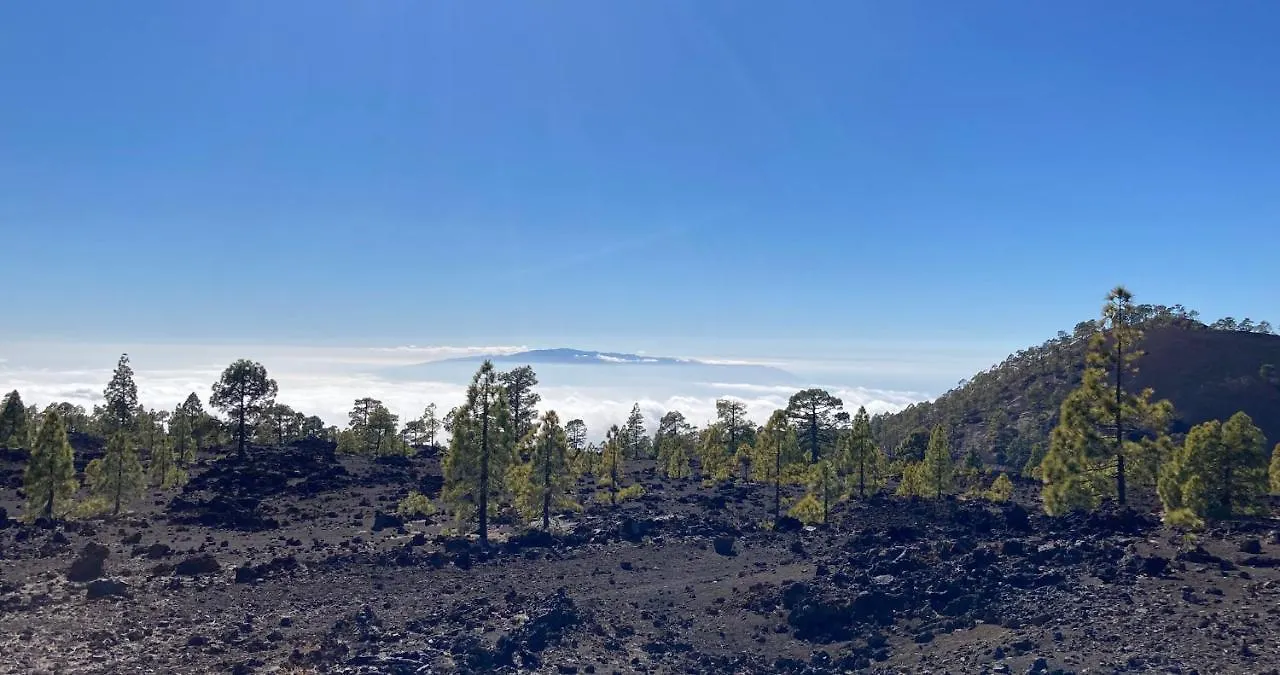 Finca Gaia La Segunda Guía de Isora España