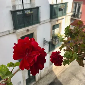 In The Heart Of Apartamento Lisboa